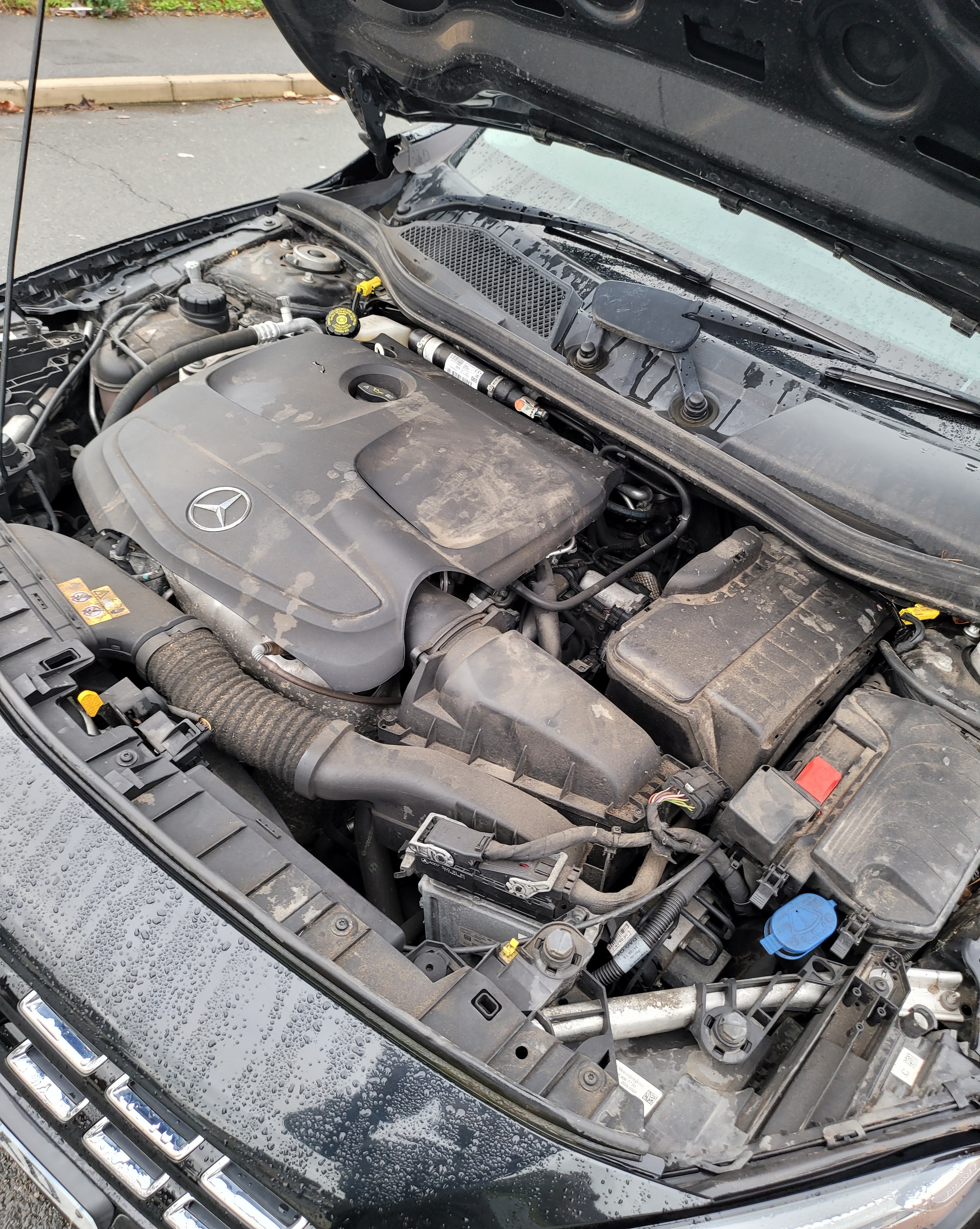 Car engine compartment with visible Mercedes logo